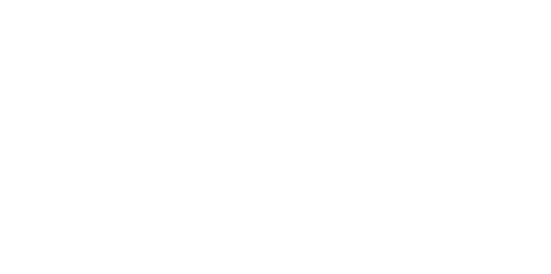 logo_elisa